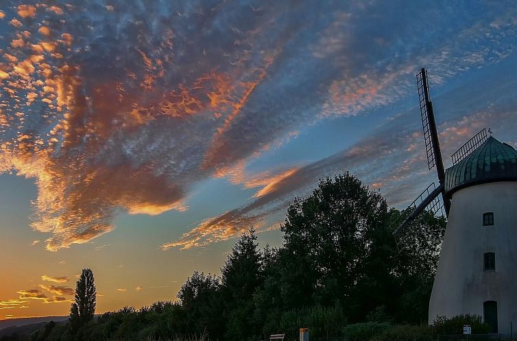 Appartement Große Wohnung in Bodenwerder mit Garten, Terras