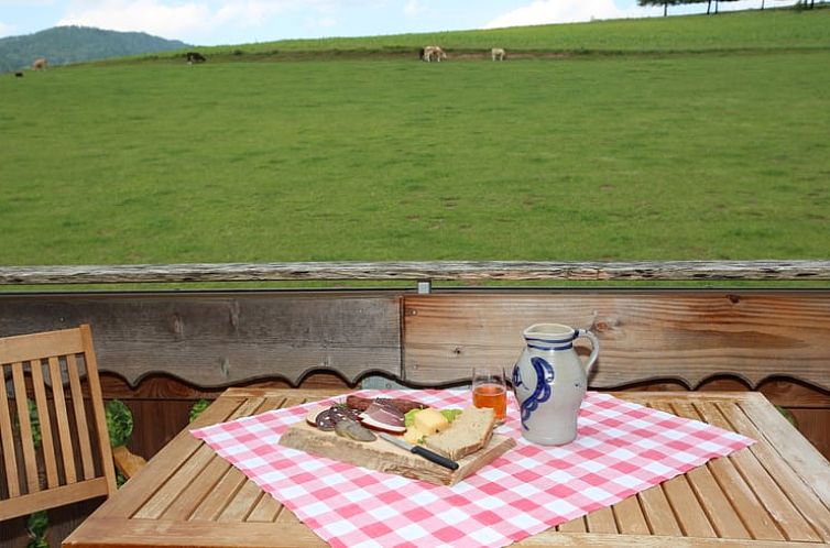 Huisje in Oberharmersbach