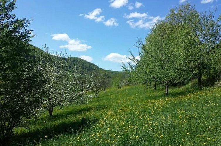 Appartement Ferienwohng. Susanne