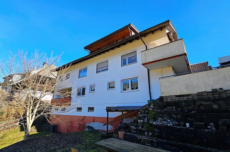 Ervaar de rust bij Vakantiehuis in Todtmoos, gelegen in het schilderachtige Baden-Wurttemberg, met een uitnodigend terras en omringende natuur.