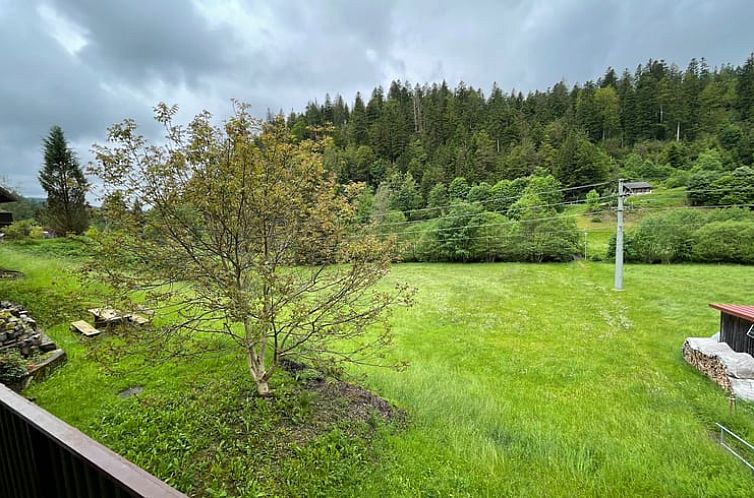 Vakantiehuis in Todtmoos