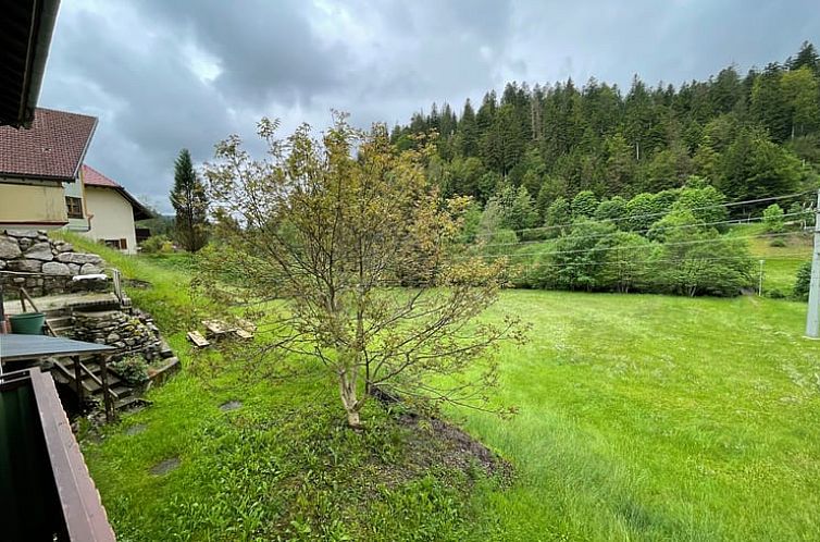 Vakantiehuis in Todtmoos