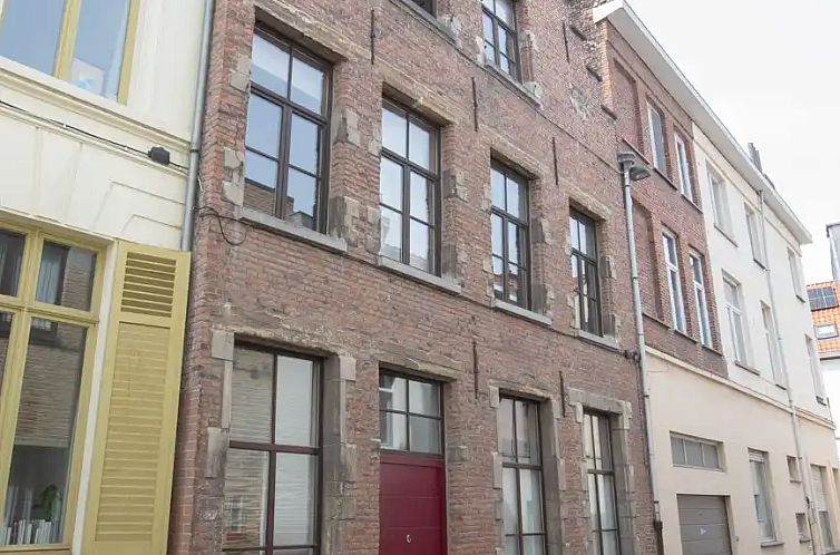 Unterkunft 020329 - Ferienhaus Ostflandern - De Wijngaard