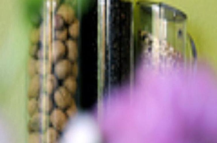 Business & Budget Hotel Tessin