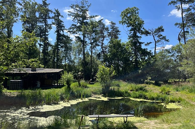 Vakantiehuisje in Lokeren omgeven door weelderige natuur en vijver, ideaal voor een ontspannen verblijf in Oost-Vlaanderen, Belgie.