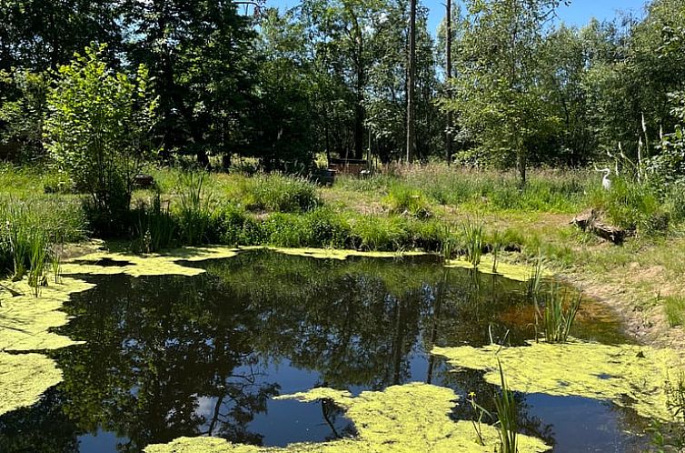 Vakantiehuisje in Lokeren