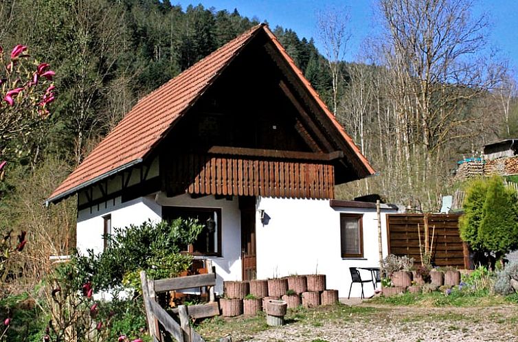 Vakantiehuisje in Hornberg