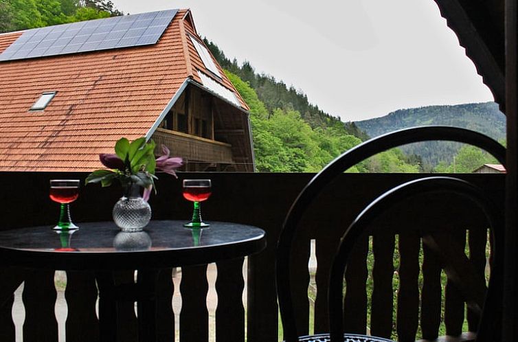 Vakantiehuisje in Hornberg