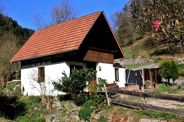 Vakantiehuisje in Hornberg