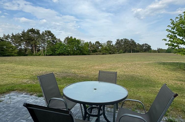 Guest house 02113303 - Apartment Berlin / Brandenburg - Appartement O'hara