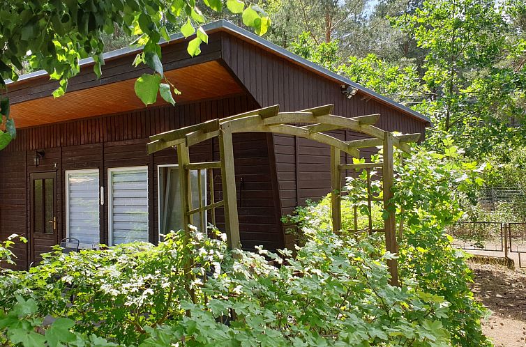 Appartement Holz-Bungalow mit Terrasse
