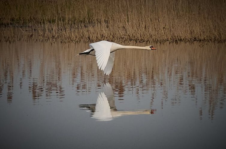 Vakantiehuis in Lunow Stolzenhagen