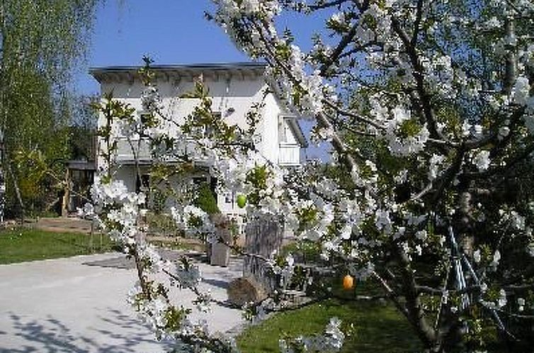 Appartement Moderne Erdgeschoss-Wohnung mit Terrasse