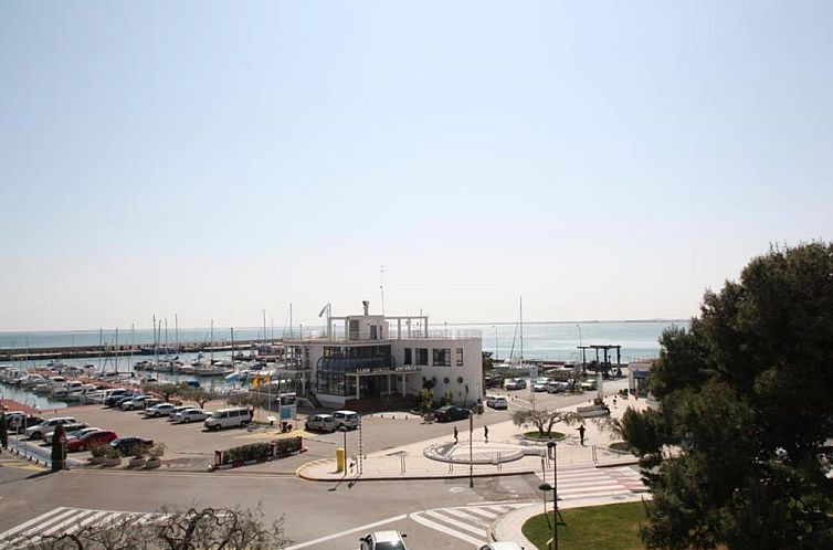 Rosa dels Vents