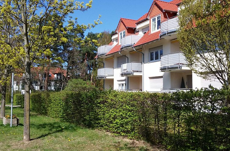 Guest house 0216506 - Apartment Berlin / Brandenburg - Appartement Appartement Nr.12