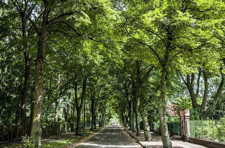 Appartement Haus am See