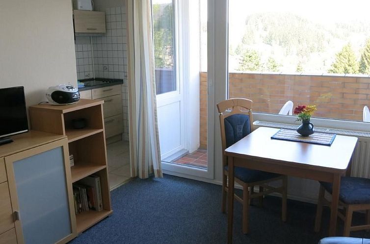 Appartement Harz