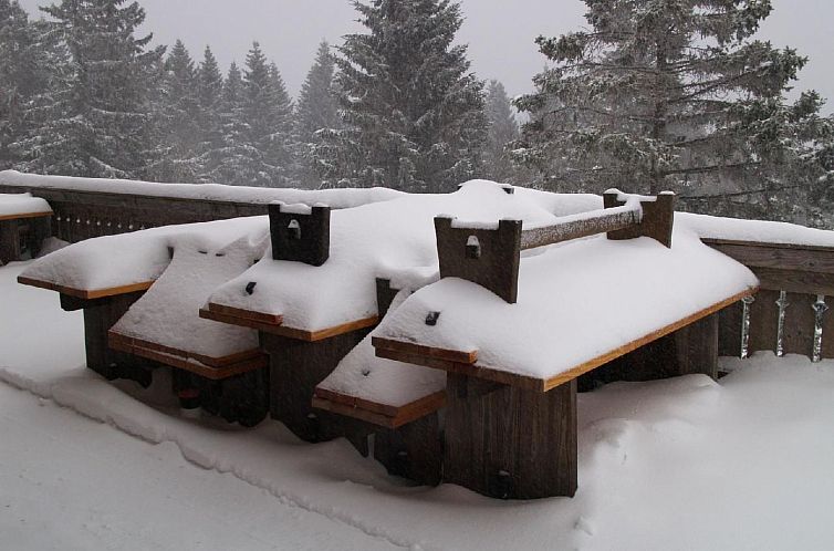 Appartement Appartement in Altenau mit Garten