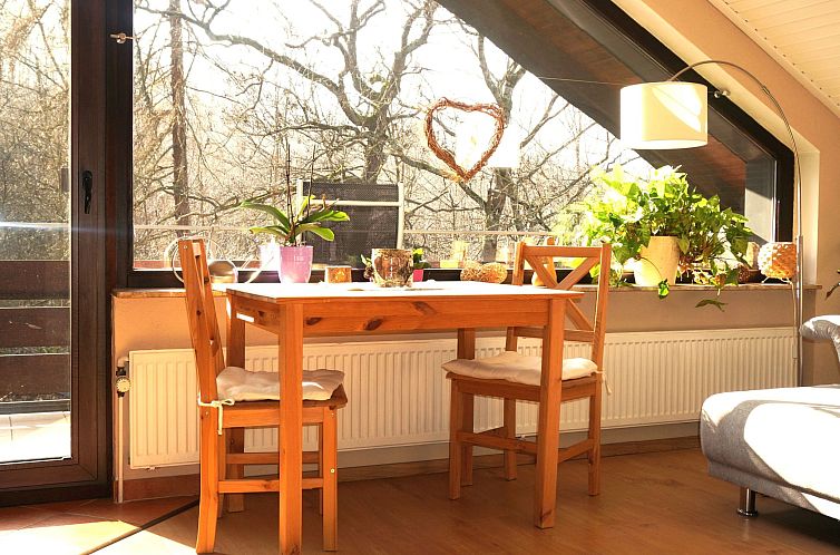 Appartement Gemütliches Appartement in Ottenhai mit Grill