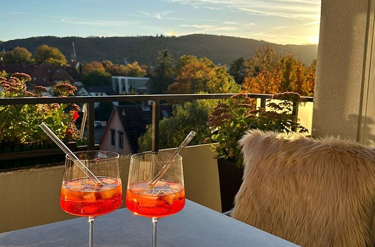 Guest house 0220914 - Apartment Harz - Appartement Wohnung in Bad Harzburg mit Garten