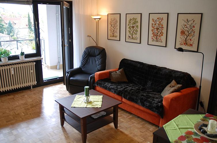 Appartement Wohnung in Bad Harzburg mit Garten