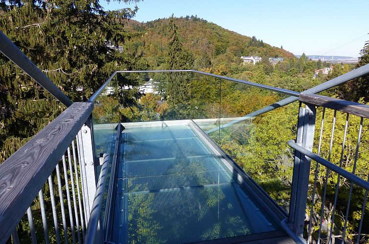 Appartement Wohnung in Bad Harzburg mit Garten