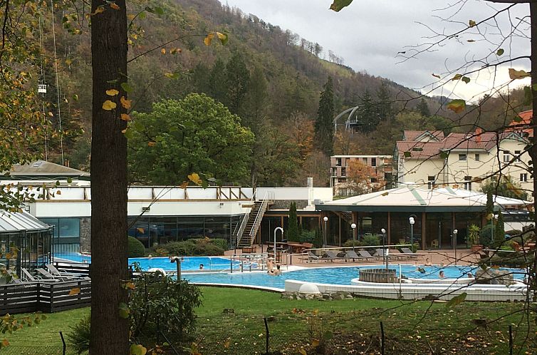 Appartement Wohnung in Bad Harzburg mit Garten