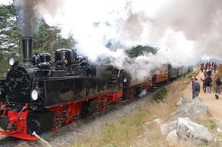 Appartement Wohnung in Bad Harzburg mit Garten