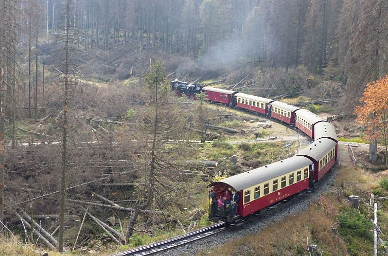 Appartement Wohnung in Bad Harzburg mit Garten