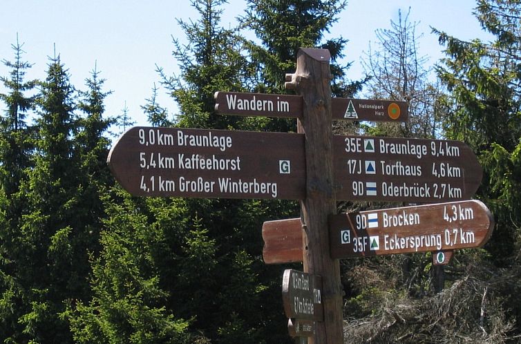 Appartement Wohnung in Bad Harzburg mit Garten