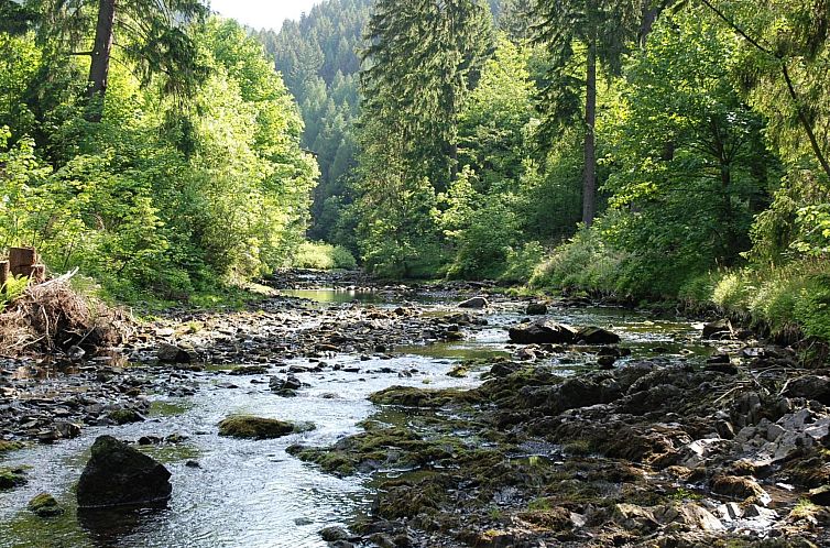 Appartement Wohnung in Bad Harzburg mit Garten