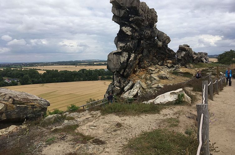 Appartement Wohnung in Bad Harzburg mit Garten