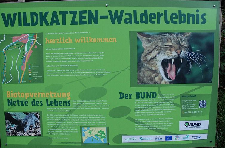 Appartement Wohnung in Bad Harzburg mit Garten