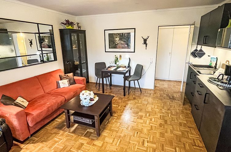 Appartement Fewo Harzblick