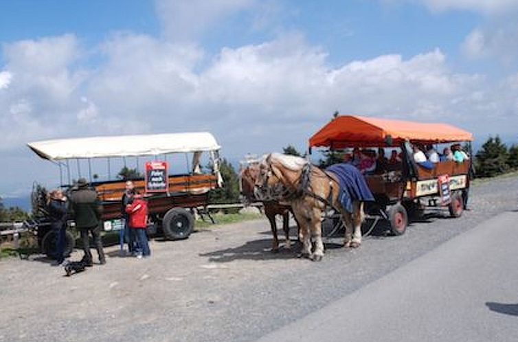 Appartement Fewo Harzblick