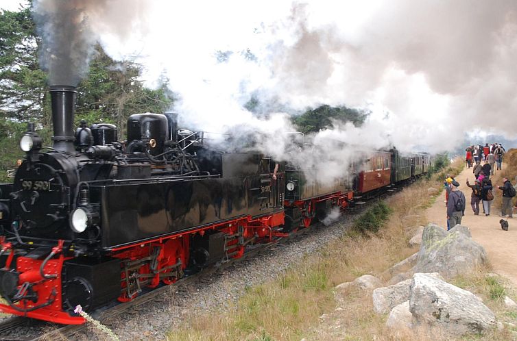 Appartement Fewo Harzblick