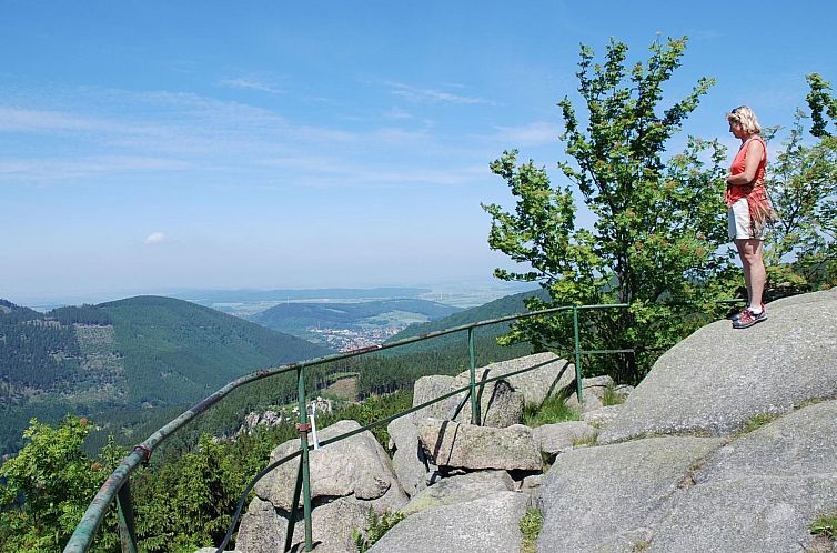 Appartement Fewo Harzblick