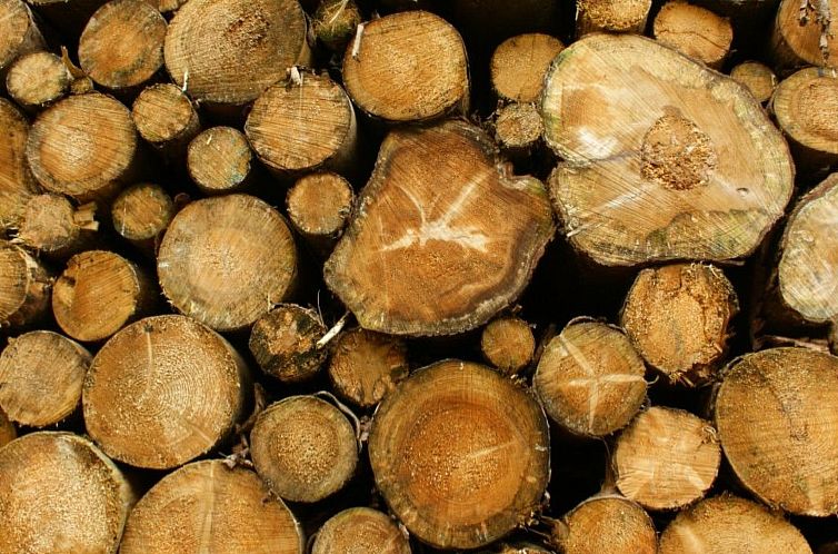 Appartement Villa Silberborn A.9