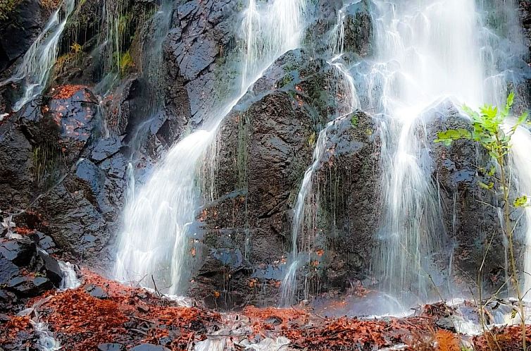 Appartement Villa Silberborn A.9