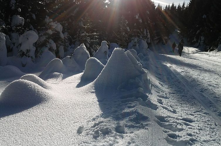 Appartement Villa Silberborn A.9