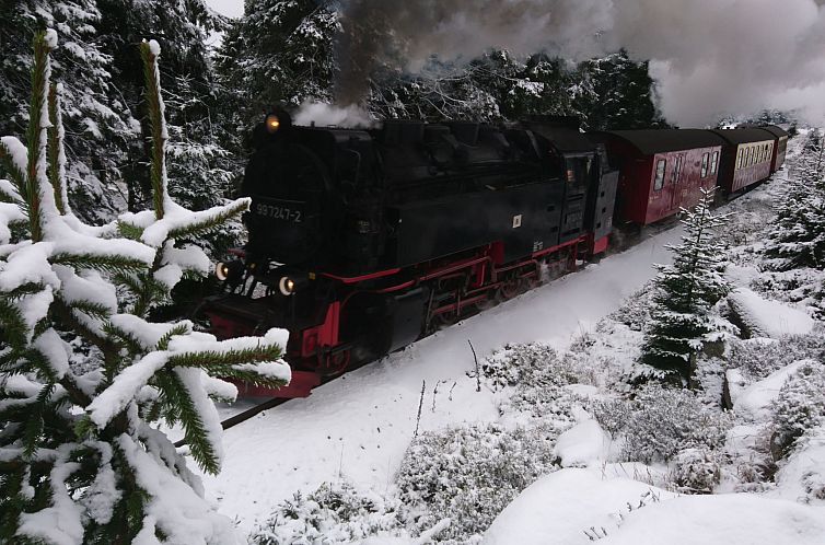 Appartement Villa Silberborn A.9