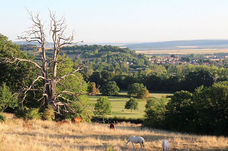 Appartement Villa Silberborn A10
