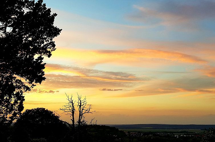 Appartement Villa Silberborn A10