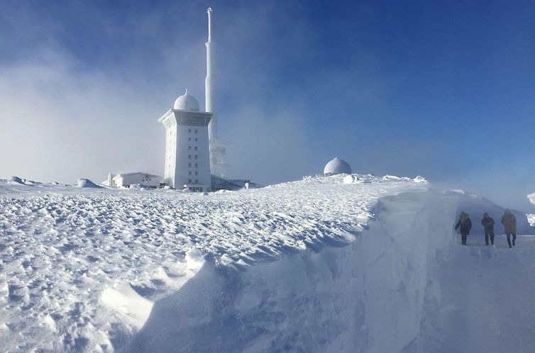 Appartement Hochsitz