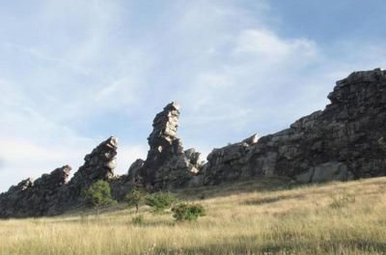 Appartement Kunst Asyl