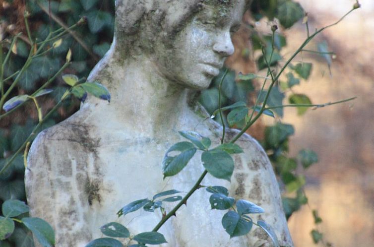 Appartement Wohlfühloase für Natur- und Gartenliebhaber