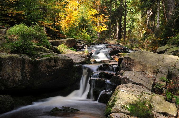 Vakantiehuis Blockhaus Bodefall
