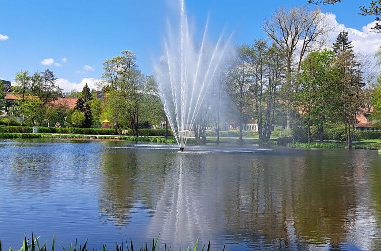 Vakantiehuis Blockhaus Bodefall