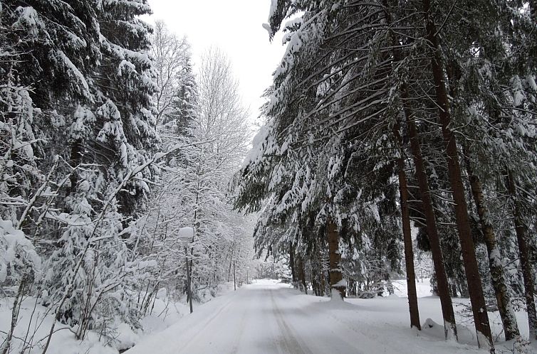 Vakantiehuis Blockhaus Bodefall