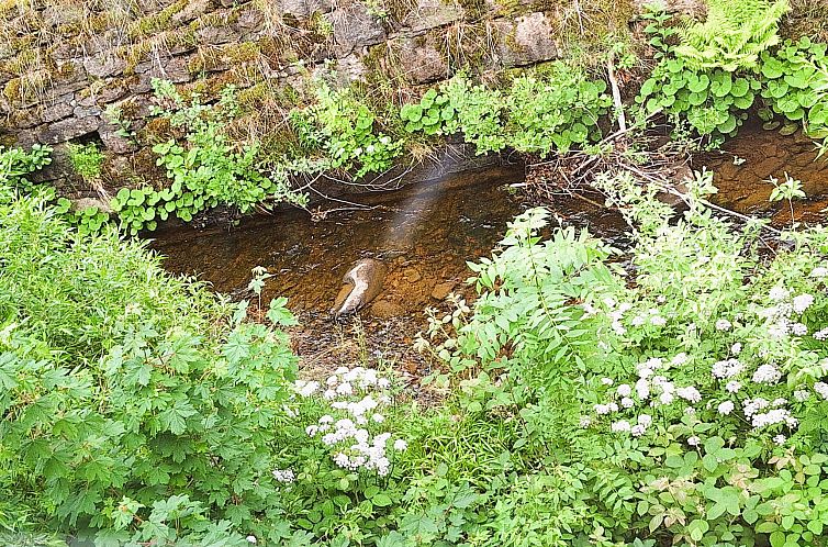 Appartement Große Auszeit
